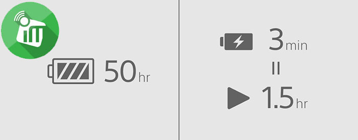 Sony WH-CH520 Wireless Stereo Headset