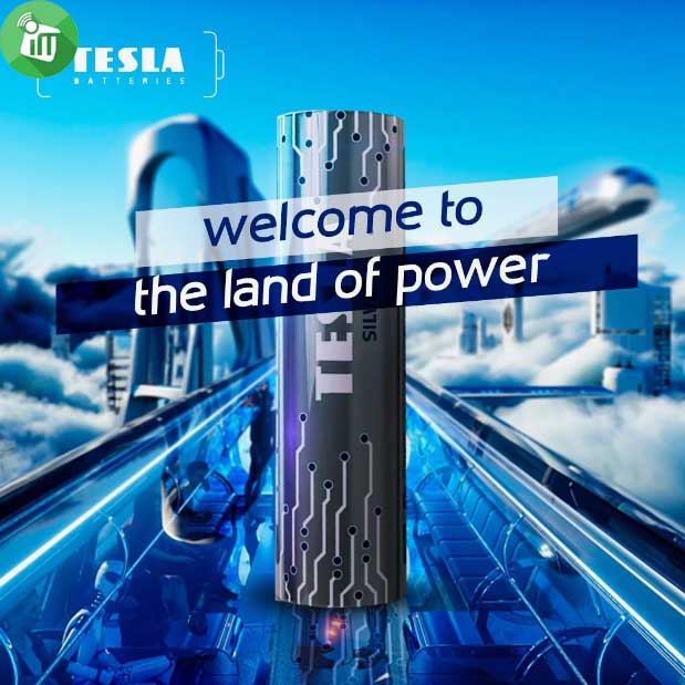 TESLA SILVER+ 10PCS AA Alkaline Batteries 1.5V