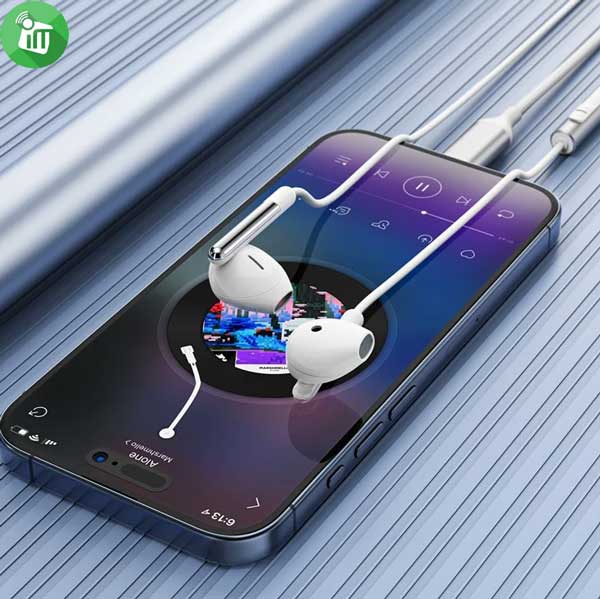 ACEFAST L3 Half-in-Ear Wired Stereo USB-C Earphone